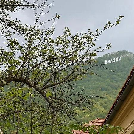 Apartment Cozy Ultracentral Brașov