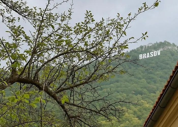 Apartman Cozy Ultracentral Brassó